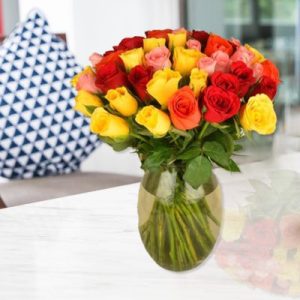 Colorful Roses In Vase